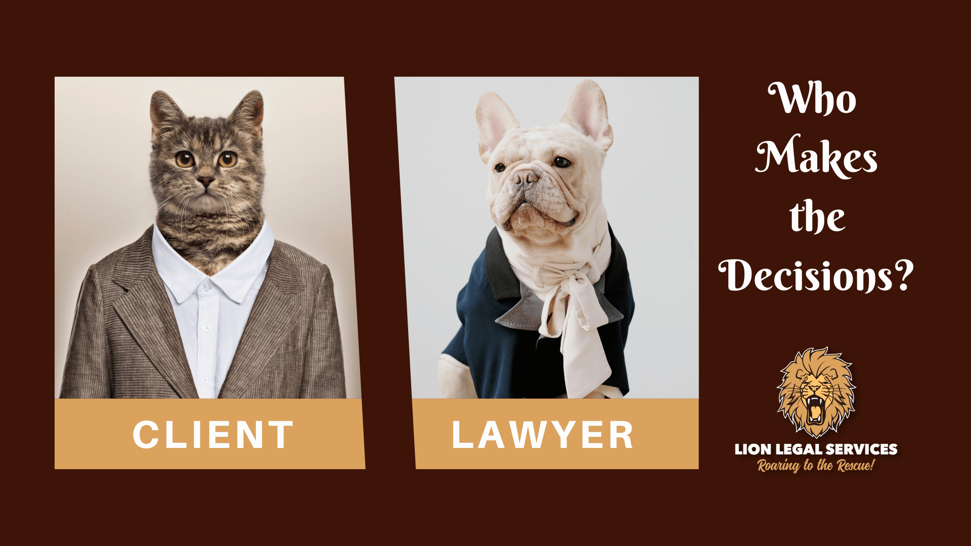 This image of a cat in a suit, and a bulldog in a lawyers scarf, asks the question "Clients vs lawyers. Who decides?