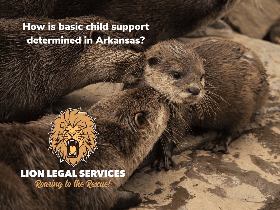 how-is-basic-child-support-determined-in-arkansas