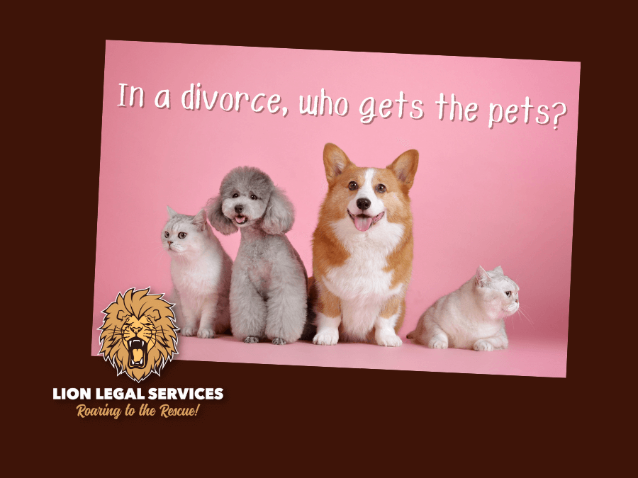 In Arkansas divorce, who gets the pets?