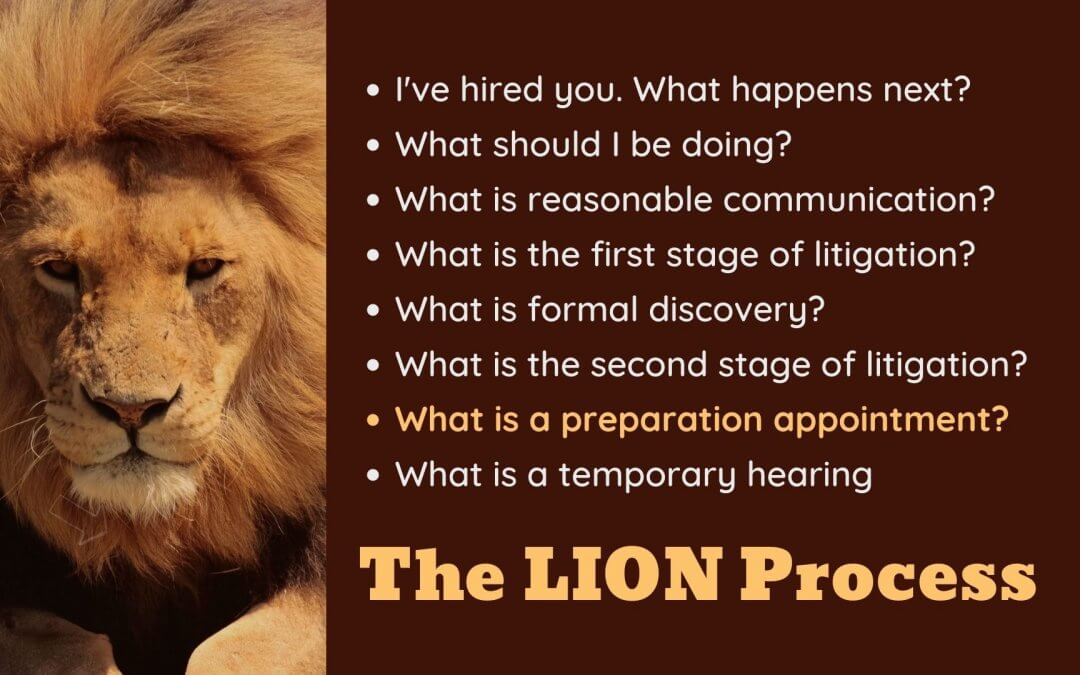 Lion Process slide 7